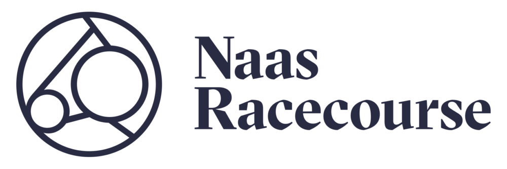 Naas-navy-e1630422732263